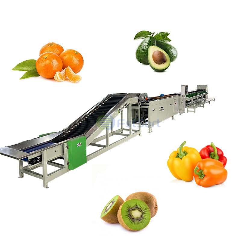 images/1763964971667kiwi processing.jpg